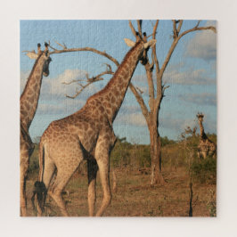 Girafas Quebra-cabeça de 20" x 20"