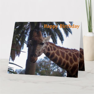 Girafas São Tão Bonito, Cartão De Aniversário