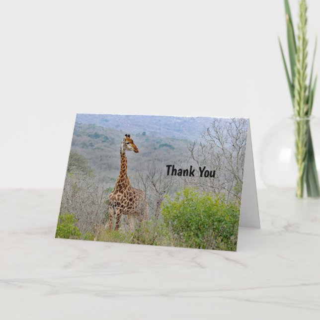 Giraffe 4 Cartões de agradecimentos (Frente)