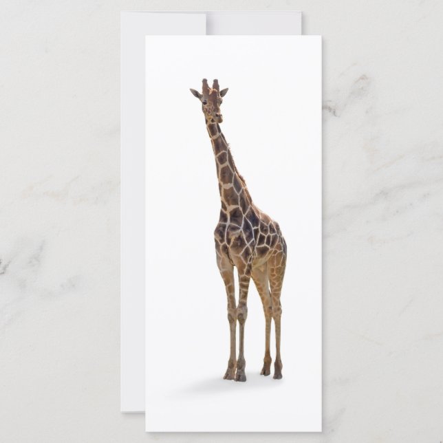 Giraffe Bookmark / Rackcard (Frente)