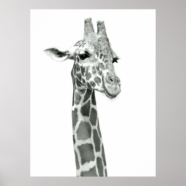 Giraffe Drawing Poster (Frente)