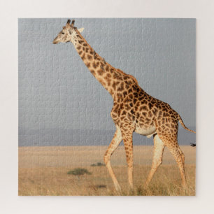 Giraffe Jigsee Quebra-cabeça