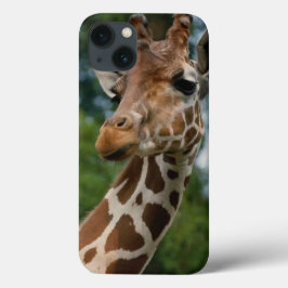 Giraffe Lovers