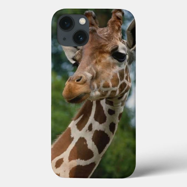 Giraffe Lovers (Verso)