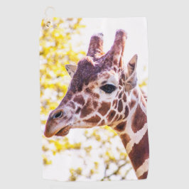 Giraffe Portrait