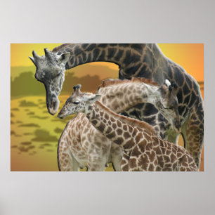 GIRAFFE TWISTER LOVE TRIÂNGULO FRAMED IMPRESSÃO
