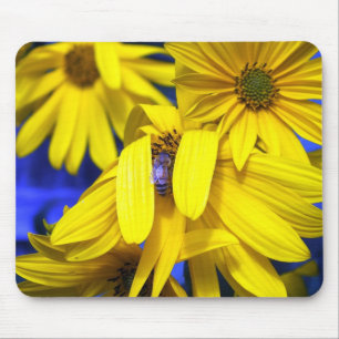 Girassóis Amarelos N Blue Bee Mousepad