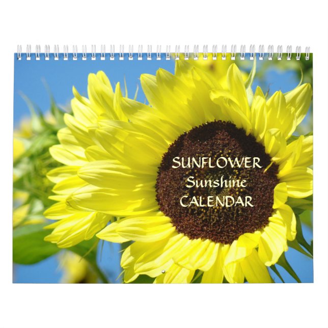 GIRASSÓIS CALENDÁRIO DE SOL GIRASSÓIS (Capa)