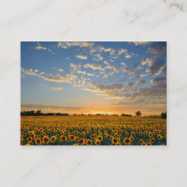 Girassóis Cartão de visita 2