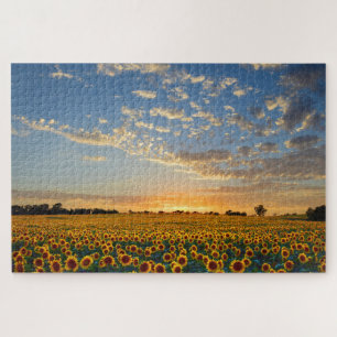 Girassóis no Sunset Jigsaw Quebra-cabeça