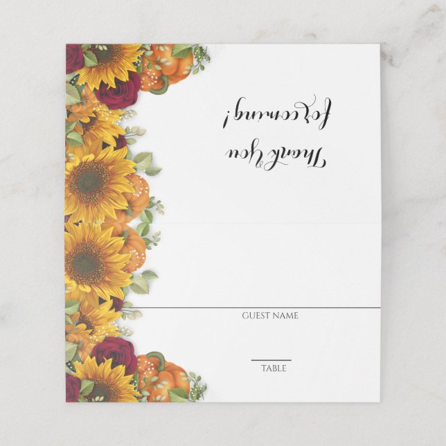 Girassol, Abóbora e Cartões de Rosa (Exterior/Desdobrado)