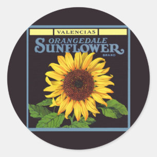 Girassol de Orangedale da arte da etiqueta da