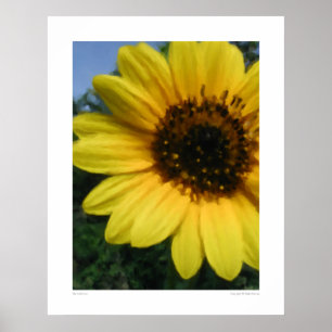 Girassol grande - 28,5" ENORME x 36" poster