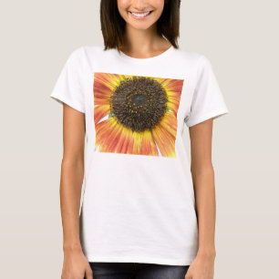 Girassol Laranja Damas T Camisa