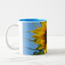 Girassol - luz - caneca azul do Dois-Tom