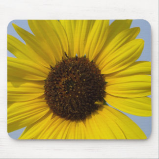 Girassol Mousepad