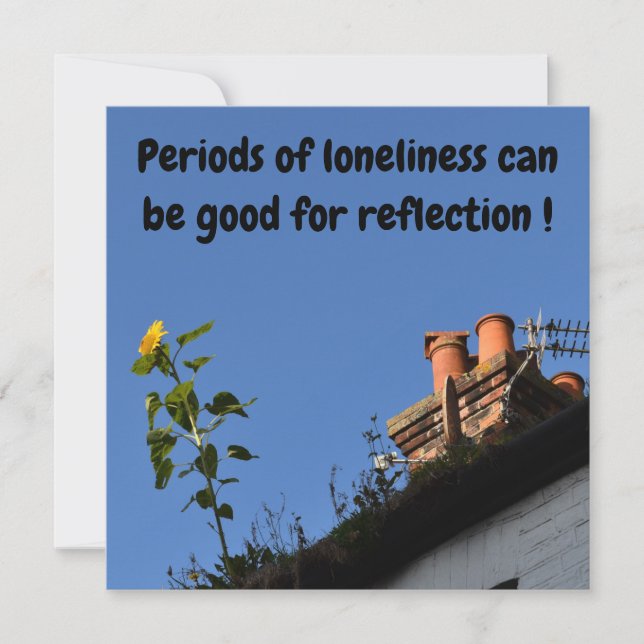 Girassol no telhado. (Frente)