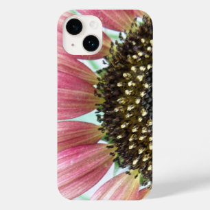 Girassol Rosa