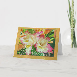 Gladiola recebe um bom cartão de saudação em breve