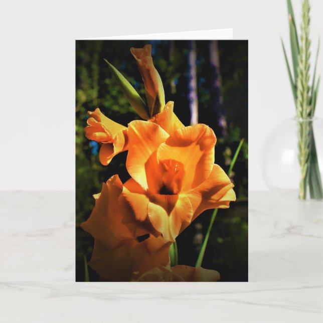 Gladioli, cartão (Frente)