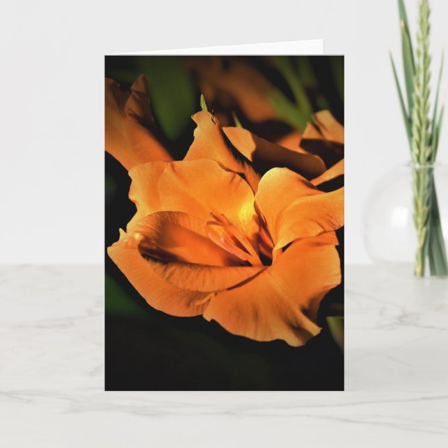 Gladioli, cartão (Frente)