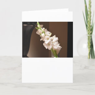 Gladioli, cartão