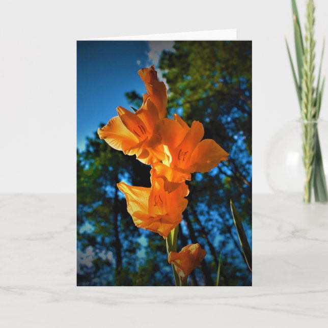 Gladioli, cartão (Frente)