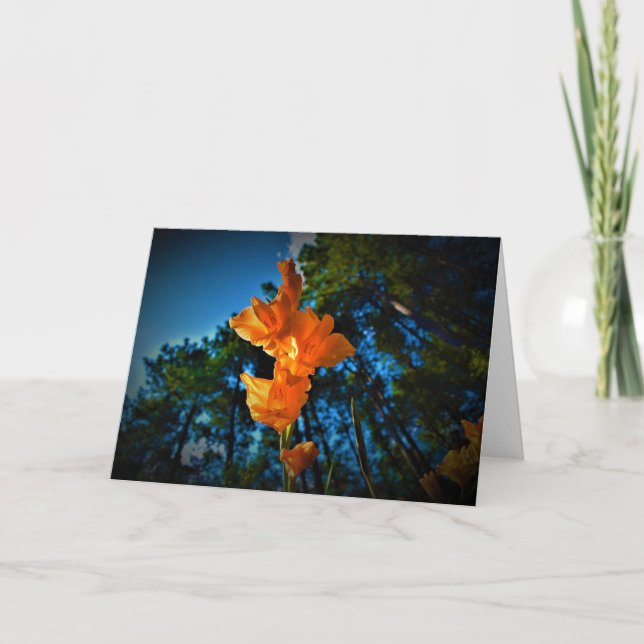 Gladioli, cartão (Frente)