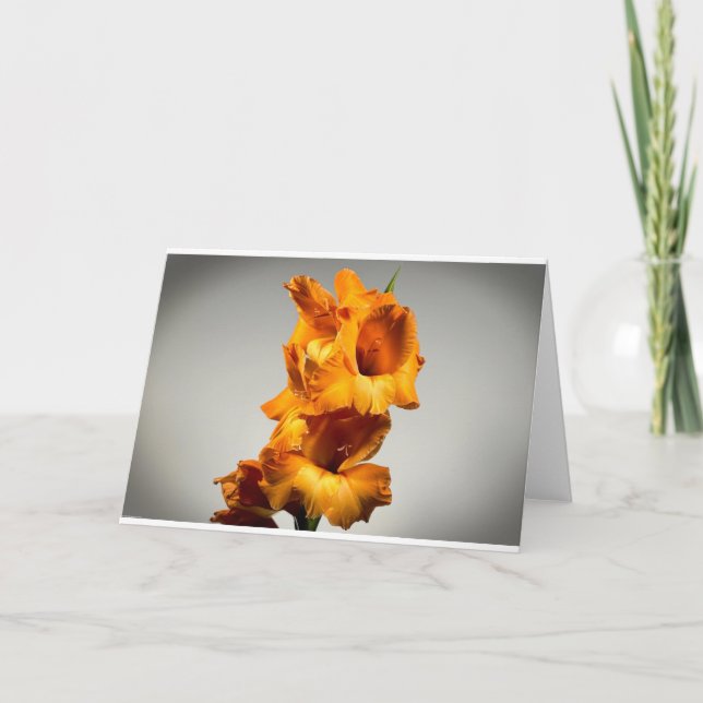 Gladíolos, Cartão (Frente)