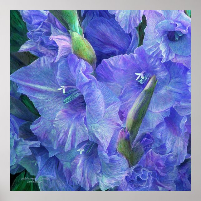 Gladiolus Moods - Lavanda de Arte Poster (Frente)