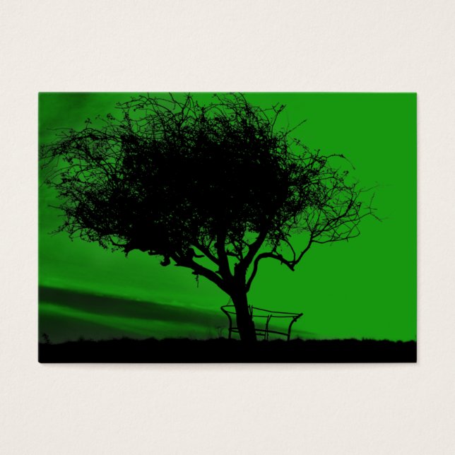 Glastonbury Hawthorn. Árvore em Hill. Preto Verde. (Frente)