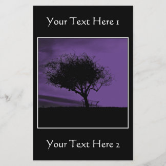 Glastonbury Hawthorn. Árvore em Hill. Violeta, Pre