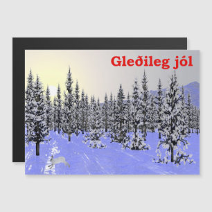 Gleðileg Jól - Solstício de inverno