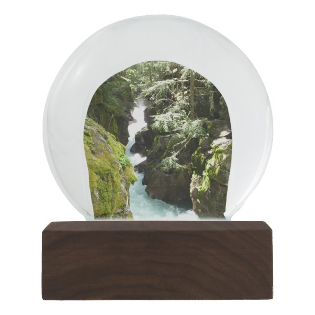 Globo De Neve Avalanche Gorge II no Parque Nacional Glacier (Frente)