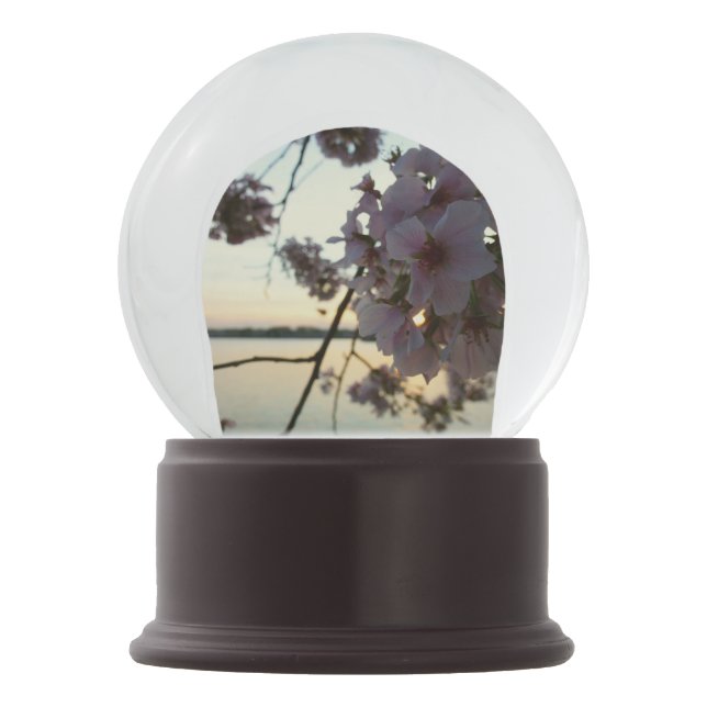 Globo De Neve Cherry Blossom Sunset em Washington DC (Frente)