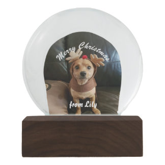 Globo De Neve Criar seu próprio globo da neve do Feliz Natal