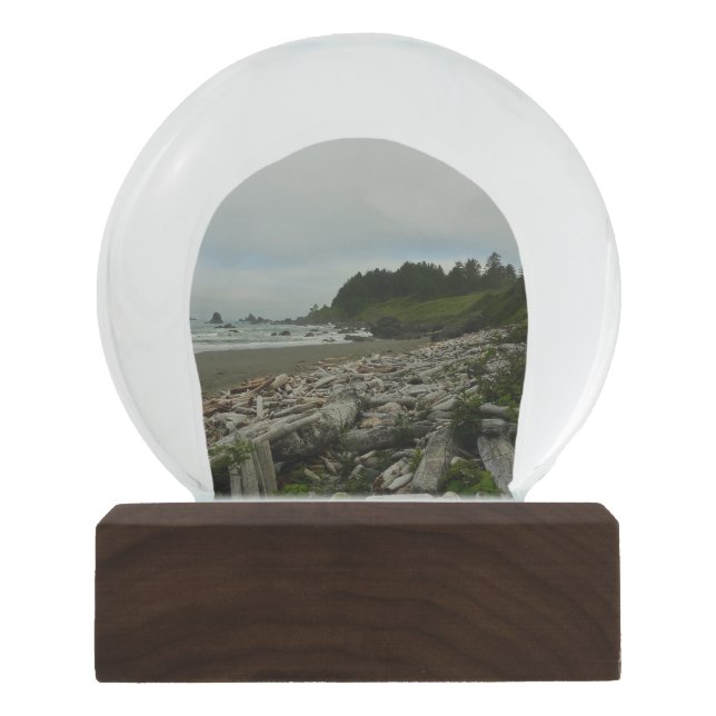 Globo De Neve Hidden Beach I no Redwood National Park (Frente)