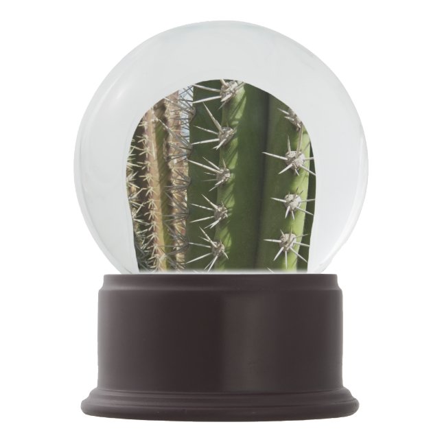 Globo De Neve Imagem natural do deserto Barrel Cactus II (Frente)