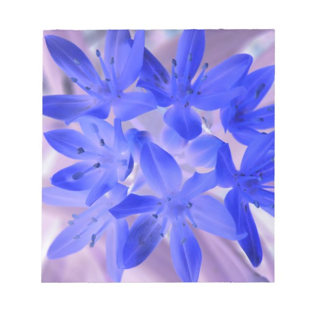 Glória do Bloco de Notas Azul Chocante da Neve (Frente)