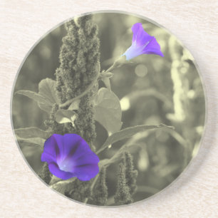 Glórias da Manhã Selvagem Porta copos Floral