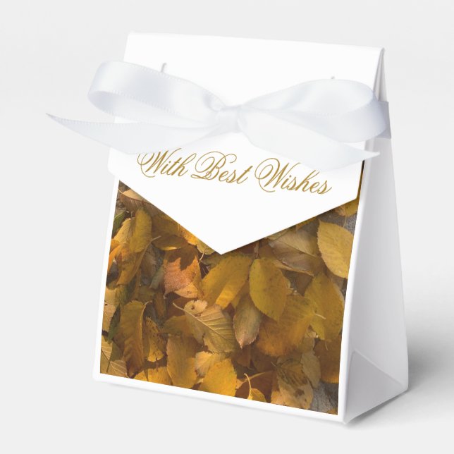 Glorioso outono em caixa de favor (1) (Frente)