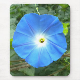 Glory Mousepad da Manhã
