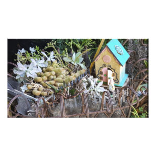 Gnome Home Woods Fantasy Fotografia personalizada