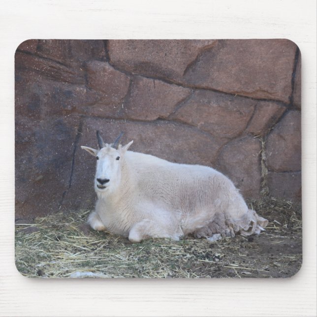 Goat Mousepad (Frente)