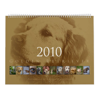 Golden retriever - calendário de parede 2010