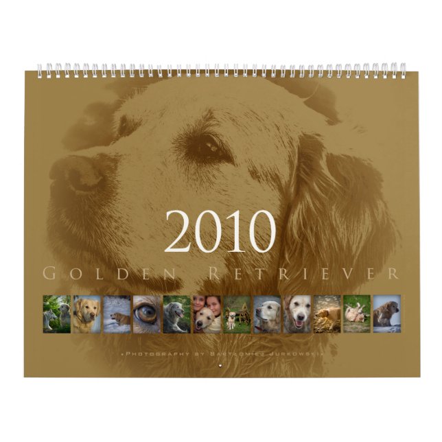 Golden retriever - calendário de parede 2010 (Capa)