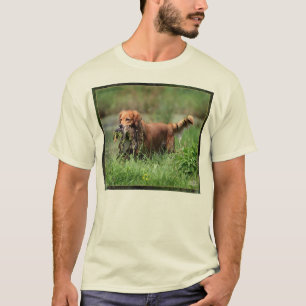 Golden retriever com a camisa do pato do pato