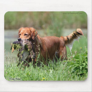 Golden retriever com pato Mousepad