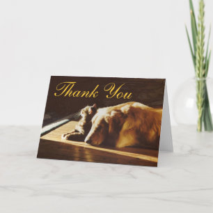 Golden retriever e cartões de agradecimentos do