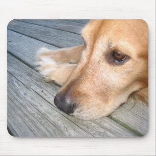 Golden retriever Mousepad